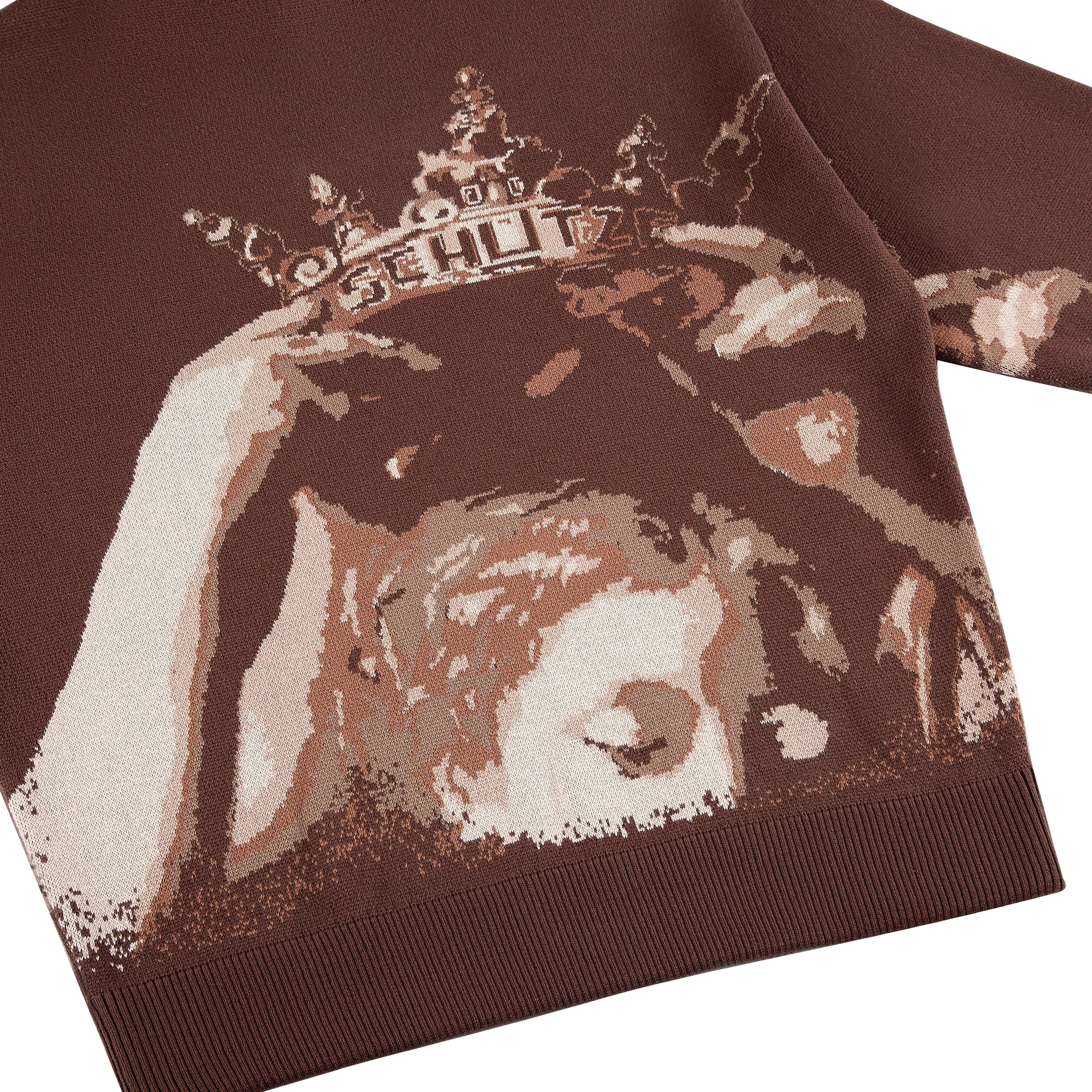 "awakening" knit Hoodie brown